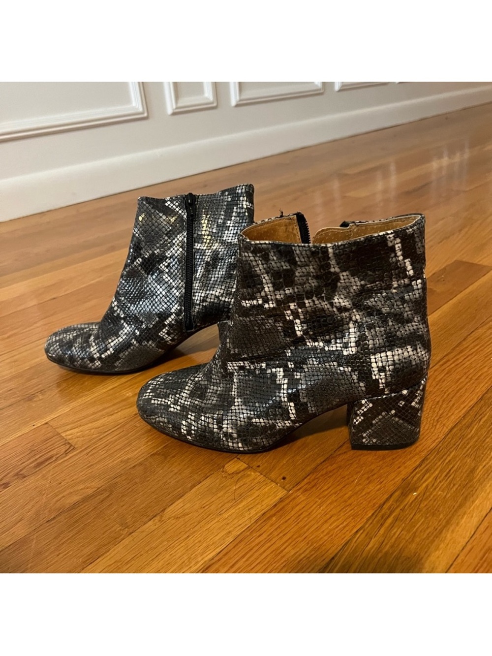 LF Snake-Print Black & Gray Ankle Boots